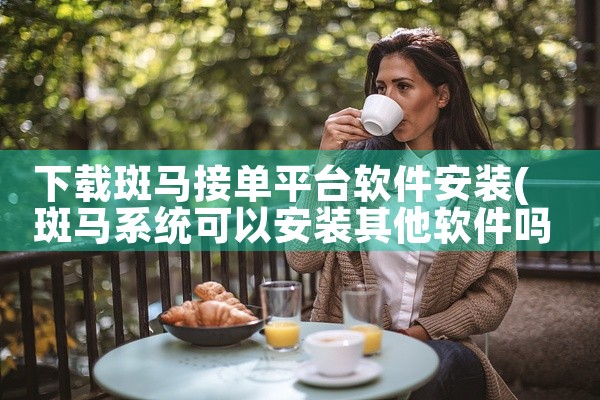 下载斑马接单平台软件安装