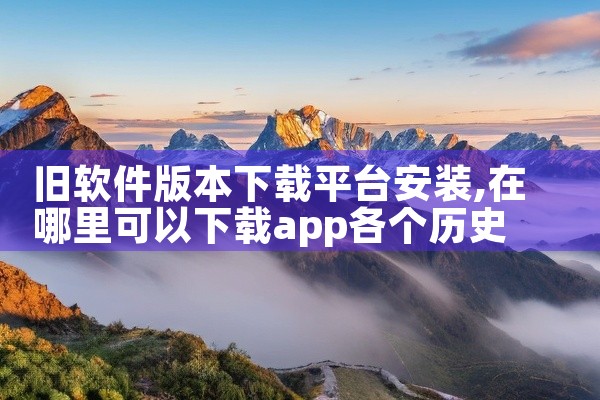 旧软件版本下载平台安装