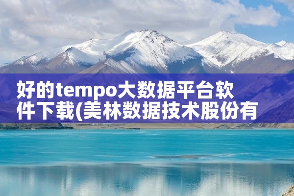 好的tempo大数据平台软件下载