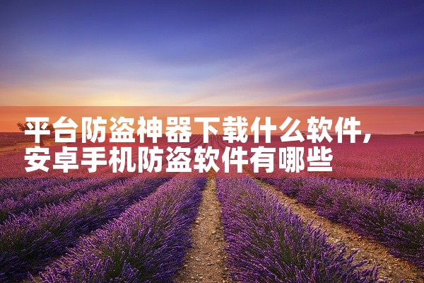 平台防盗神器下载什么软件
