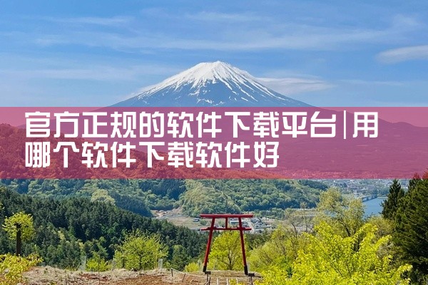 官方正规的软件下载平台